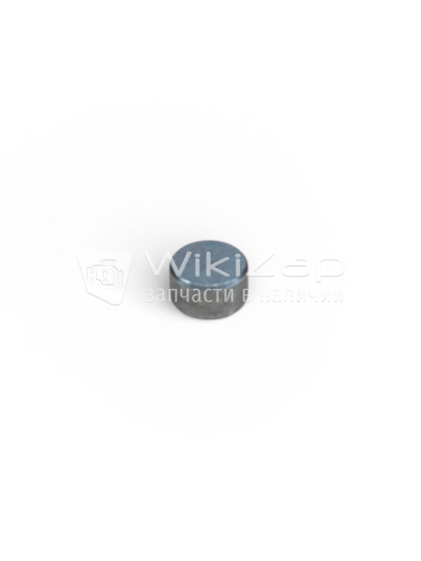 Колпачок клапана (толкателя) ISUZU 4HG1/4HK1/6HK1 BESUTO BS1020-256 (8943960152)
